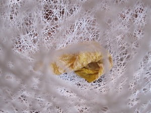 11 ballongrestenene inni nettet